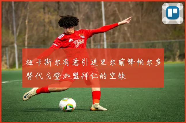 纽卡斯尔有意引进里尔前锋帕尔多替代戈登加盟拜仁的空缺