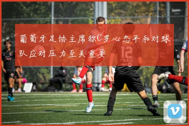 葡萄牙足协主席称C罗心态平和对球队应对压力至关重要